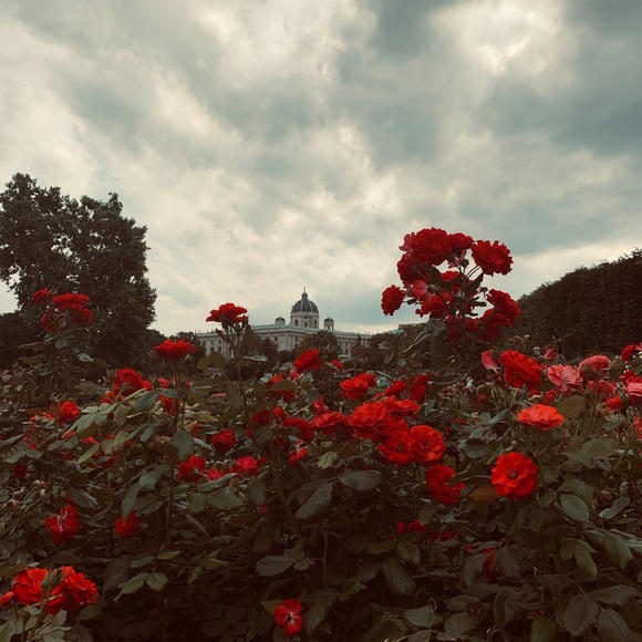 Meet your Posher, Danielle - Picture 5 of 10